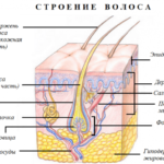 Безпечна епіляція для вагітних – це реально