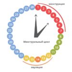 Безпечні дні циклу: як розрахувати, щоб не завагітніти