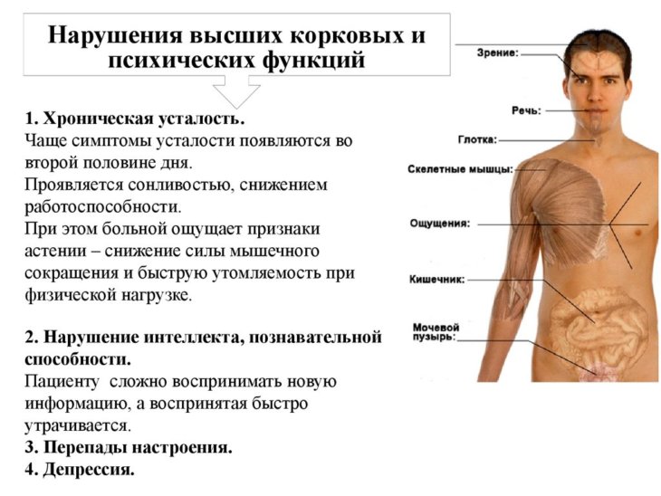 Хронічна втома або лінощі: як визначити і рецепти для позбавлення +65 фото