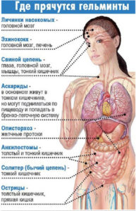 Очищення організму - медичні поради та рецепти від дієтологів + фото