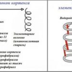 Олаплекс: порятунок для волосся або розкручена пустушка?