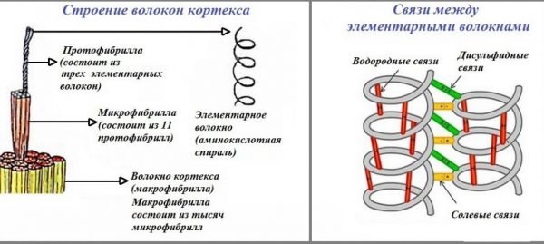 Олаплекс: порятунок для волосся або розкручена пустушка?