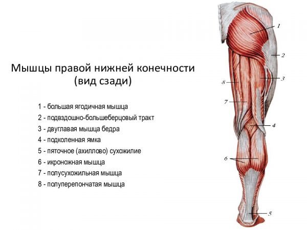 Стрункі ніжки без проблем: секрети ефективної тренування