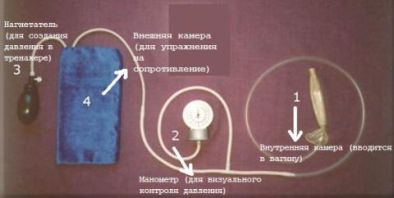 Тренажер для інтимних м'язів Муранівского: як використовувати, не зашкодивши собі