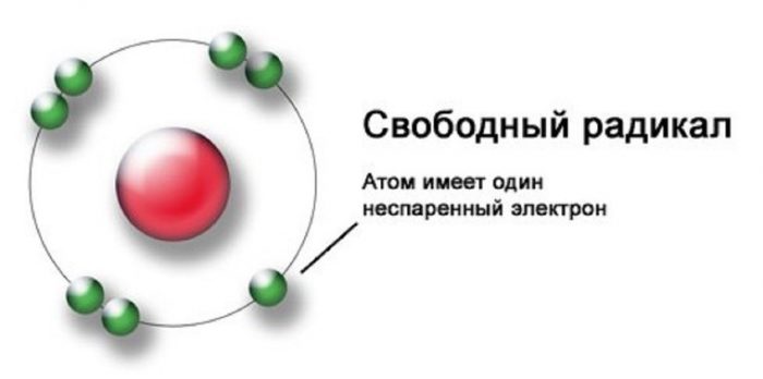 Вільні радикали і антиоксиданти: зміст в овочах і фруктах